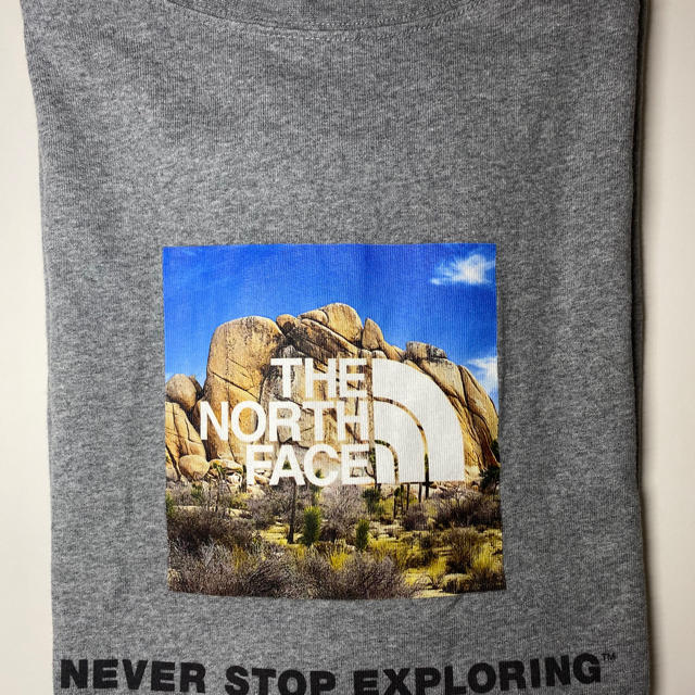 THE NORTH FACE(ザノースフェイス)のTHE NORTH FACE メンズのトップス(Tシャツ/カットソー(半袖/袖なし))の商品写真