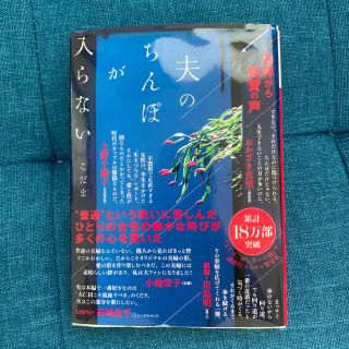 夫のちんぽが入らない(文学/小説)