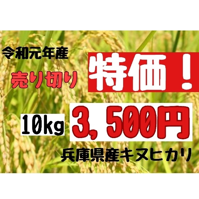 兵庫県産キヌヒカリ玄米10kg(令和元年産)