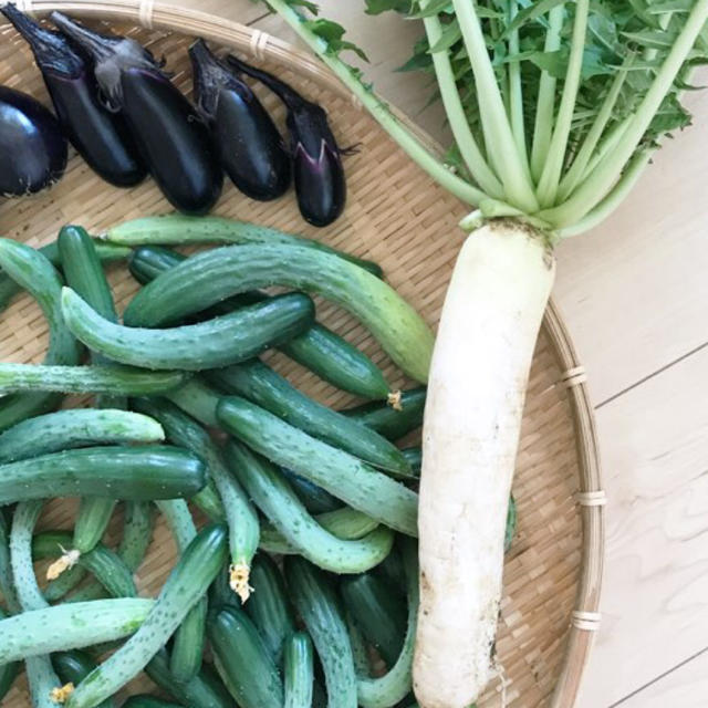 ポパイ畑野菜詰め合わせ60サイズ即購入可 食品/飲料/酒の食品(野菜)の商品写真