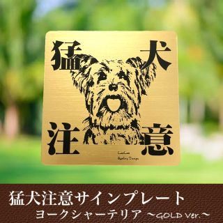 【送料無料】猛犬注意サインプレート(ヨークシャーテリア)GOLDアクリルプレート(店舗用品)