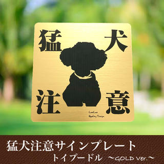 【送料無料】猛犬注意サインプレート(トイプードル )GOLDアクリルプレート(店舗用品)