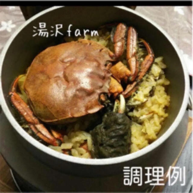 モクズガニ 【2キロ】 食品/飲料/酒の食品(魚介)の商品写真