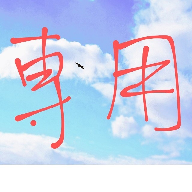 とっち様専用 fruut.pt