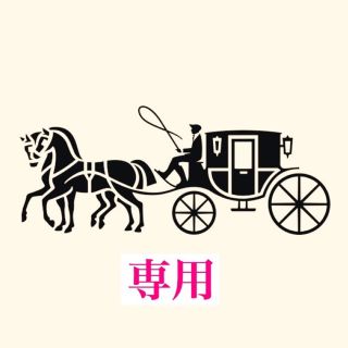 コーチ(COACH)の専用　金運を呼ぶイエロー (財布)