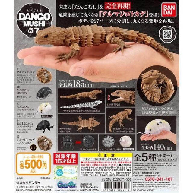 ☆#☆ メタリック ダンゴムシ . まんまるこがね だいおうぐそくむし