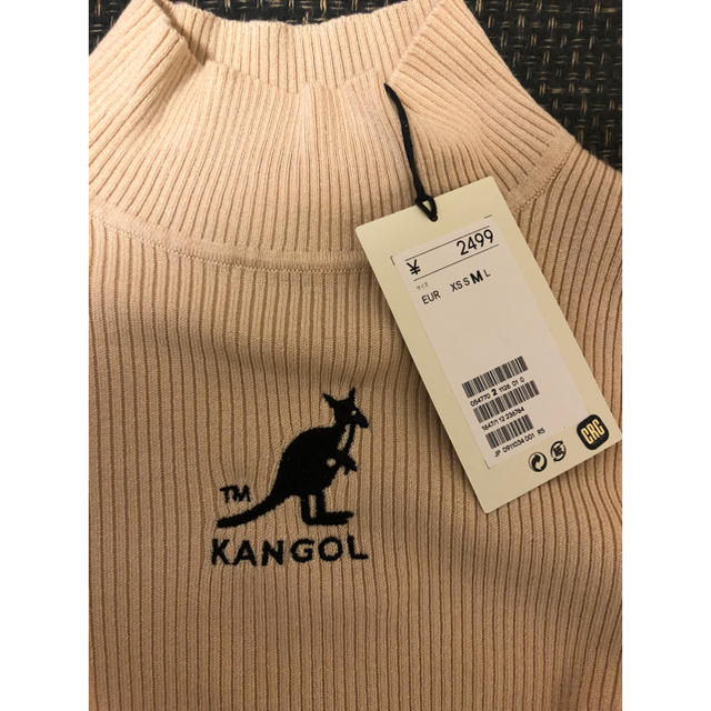 KANGOL(カンゴール)の値下げ⭐︎ H&M kangol リブニット ショートトップス M ハイネック レディースのトップス(ニット/セーター)の商品写真