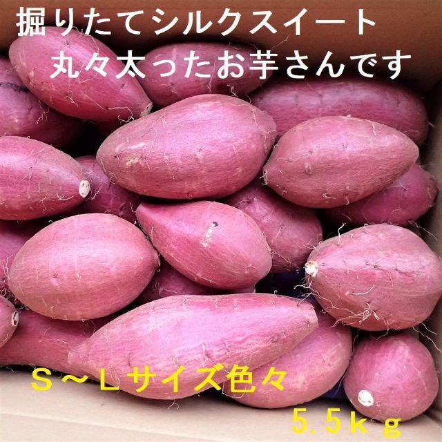 新芋シルクスイート丸々太ったサツマイモたっぷり5.5ｋｇ千葉産さつまいも農家直送 食品/飲料/酒の食品(野菜)の商品写真
