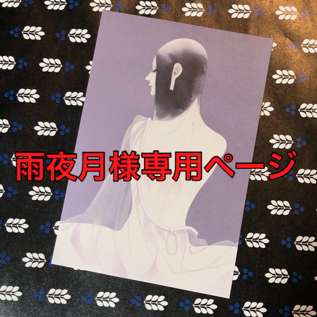 ✨雨夜月様専用ページ　※他の方のご購入はご遠慮ください エンタメ/ホビーの本(文学/小説)の商品写真