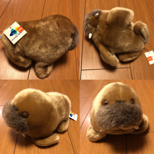ぬいぐるみ アシカ オットセイ セイウチ 城崎 マリン ワールドの通販 By ひまわり S Shop ラクマ ぬいぐるみ アシカ オットセイ セイウチ 城崎 マリン ワールドの通販 By ひまわり S Shop ラクマ