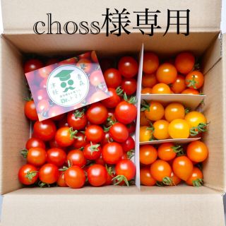 ミニトマト【農学博士のDr.トマトカロテンミックス5Kg】☘️〜青森津軽産〜(野菜)