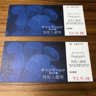 マリンワールド　海の中道　特別入場券(水族館)