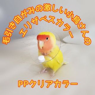 インコ エリザベスカラー(クリア)1枚・3サイズ・3色・3g(鳥)