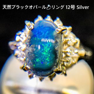 【星空の遊色】天然ブラックオパールのリング 12号 Silver(リング(指輪))