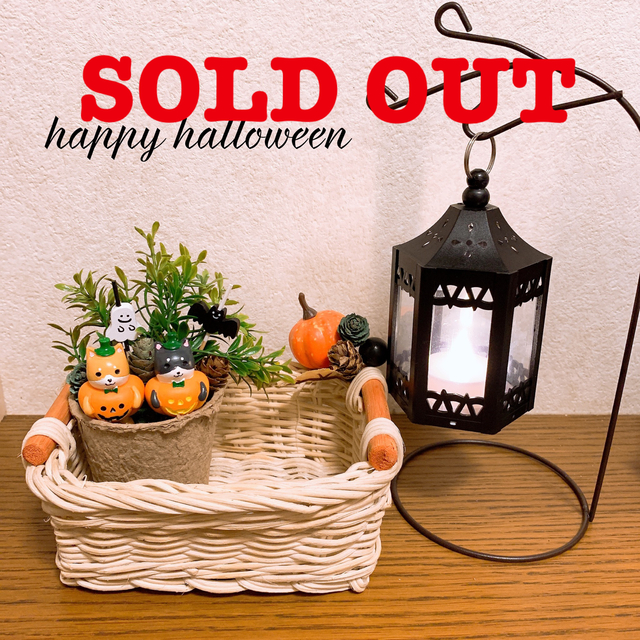 ハロウィン インテリア飾り 小物入れ&ランタンセット