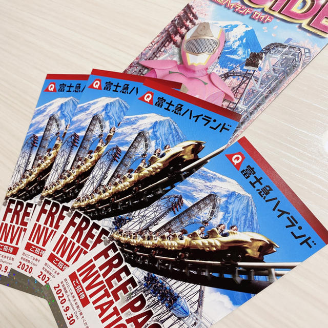 富士急ハイランドフリーパス2枚 | distrasa.transvelez.com