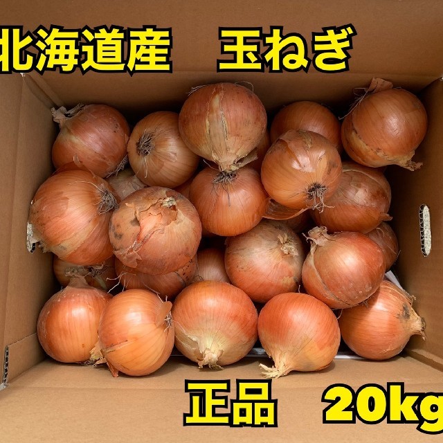 北海道産玉ねぎ品種北もみじ2000 食品/飲料/酒の食品(野菜)の商品写真