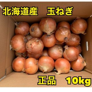 北海道産玉ねぎ品種北もみじ2000(野菜)