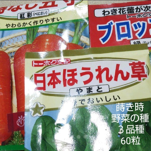 タイムセール 野菜の種 ３品種 60粒セット ハンドメイドのフラワー/ガーデン(その他)の商品写真