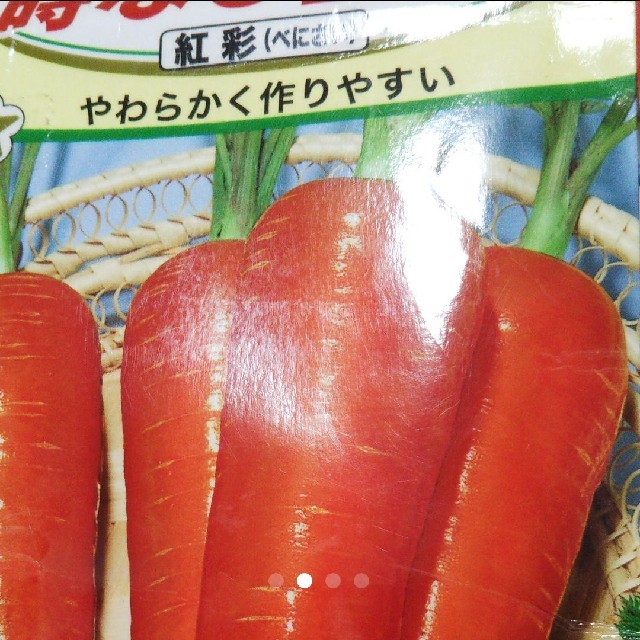 タイムセール 野菜の種 ３品種 60粒セット ハンドメイドのフラワー/ガーデン(その他)の商品写真