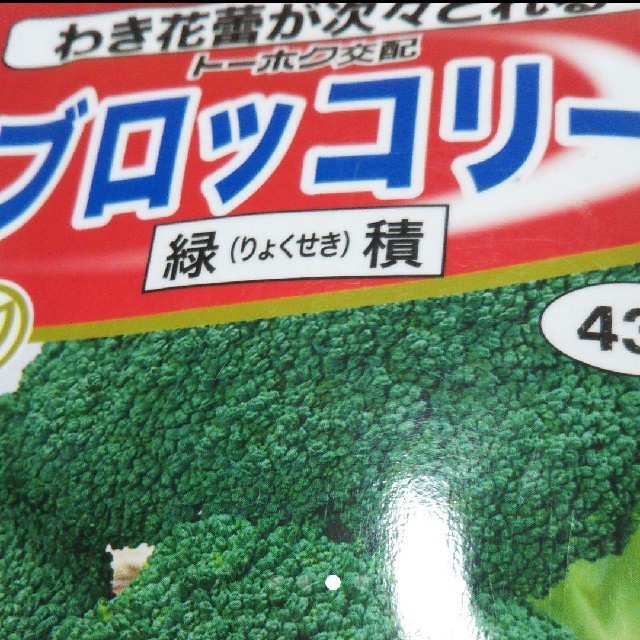 タイムセール 野菜の種 ３品種 60粒セット ハンドメイドのフラワー/ガーデン(その他)の商品写真