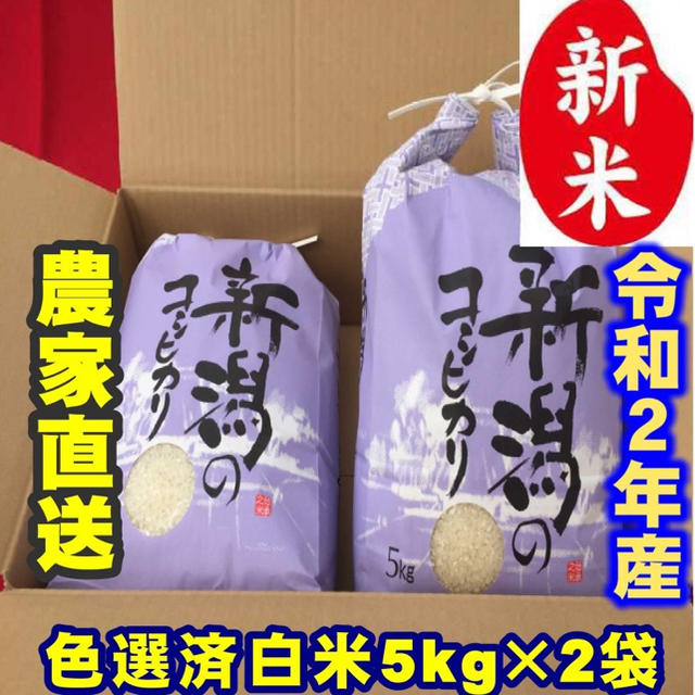 新米・令和2年産新潟コシヒカリ　白米5kg×2個★農家直送★色彩選別済　29