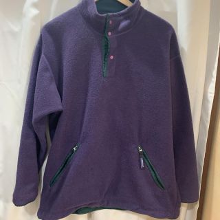 パタゴニア(patagonia)のPatagonia シンチラ　レア　フリース(ブルゾン)