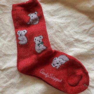 キャンディーストリッパー(Candy Stripper)のｷｬﾝﾃﾞｨｽﾄﾘｯﾊﾟｰ　ソックス🐨🧦赤(ソックス)