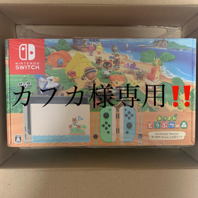 Nintendo Switch あつまれ どうぶつの森 セット