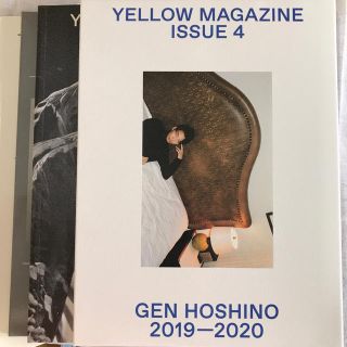 【YELLOW PASS未使用】星野源オフィシャルイヤーブック4(趣味/スポーツ/実用)