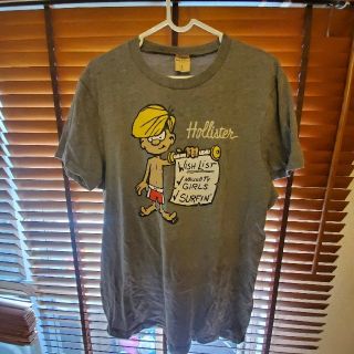 ホリスター(Hollister)のHOLLISTER　men's　Tシャツ　L　ナイキスエット(Tシャツ/カットソー(半袖/袖なし))