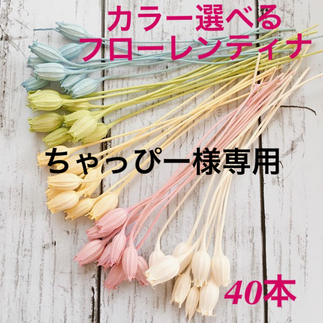 ちゃっぴー様専用 ハンドメイドのフラワー/ガーデン(ドライフラワー)の商品写真