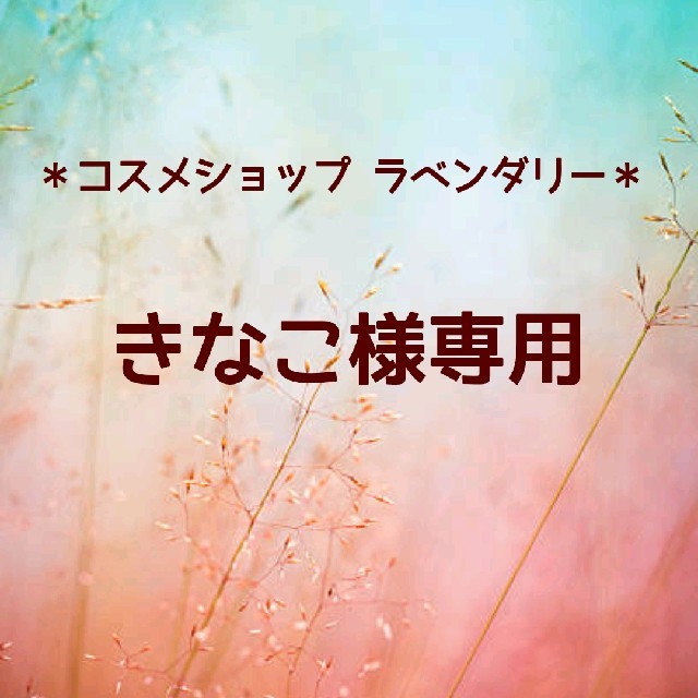 Kanebo(カネボウ)のきなこ様専用 コスメ/美容のスキンケア/基礎化粧品(化粧水/ローション)の商品写真