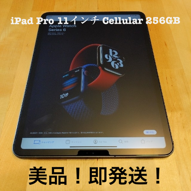 iPad Pro 11インチ Cellular 256BG 第1世代 美品！