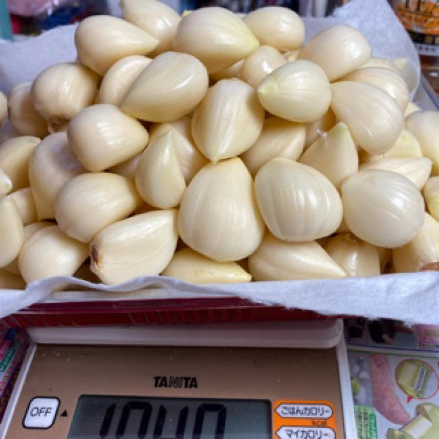 新物青森県産福地ホワイトニンニク　Sサイズ 1300g 食品/飲料/酒の食品(野菜)の商品写真