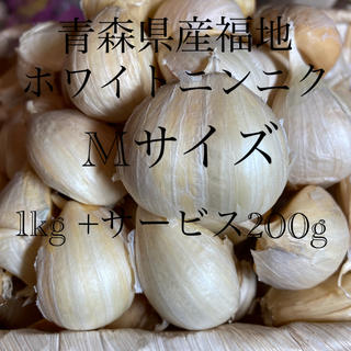 新物青森県産福地ホワイトニンニク　Mサイズ1200g(野菜)