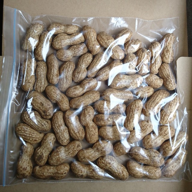 ポストへお届け【完全無農薬】生落花生 おおまさり 食品/飲料/酒の食品(野菜)の商品写真
