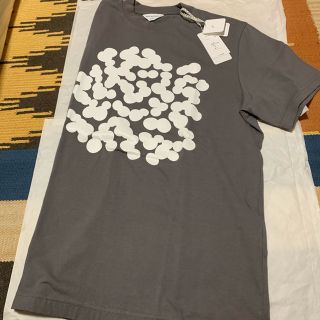 ミナペルホネン(mina perhonen)のmina perhonen つづく展　soda water カットソー(Tシャツ(半袖/袖なし))