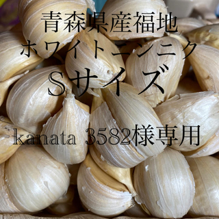 kanata3582様専用　青森県産福地ホワイトニンニク　Sサイズ2800g(野菜)