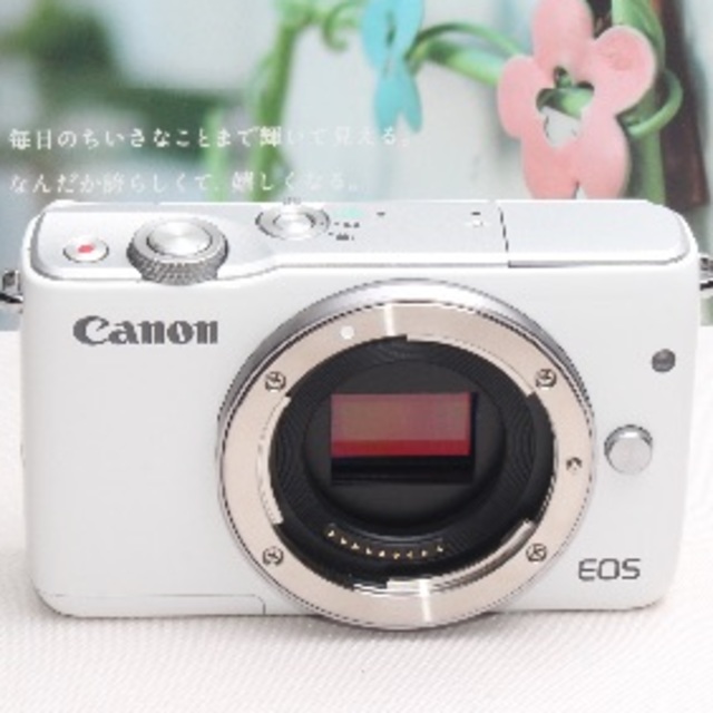 ❤️STMレンズ&予備バッテリー&カメラバッグ❤️Canon EOS M10❤️