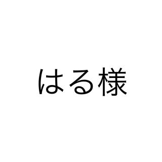 はる様　ルーズと上履き(その他)