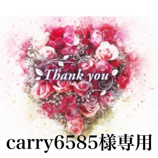 carry6585様専用☆（L）(ミニワンピース)