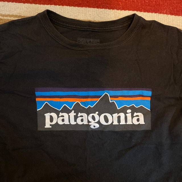 patagonia(パタゴニア)の売約済みkid's Patagonia Tシャツ キッズ/ベビー/マタニティのキッズ服女の子用(90cm~)(Tシャツ/カットソー)の商品写真