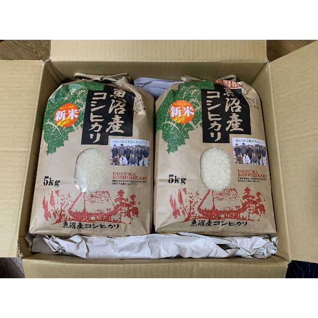 米/穀物 魚沼産コシヒカリ 20kg (5kg×4袋) 値下げ中