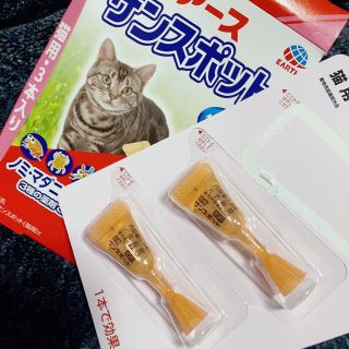 アースセイヤク(アース製薬)のアース サンスポット猫用(猫)