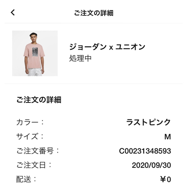 NIKE(ナイキ)のジョーダン　x  ユニオンLA  Tシャツ　ピンク　M メンズのトップス(Tシャツ/カットソー(半袖/袖なし))の商品写真