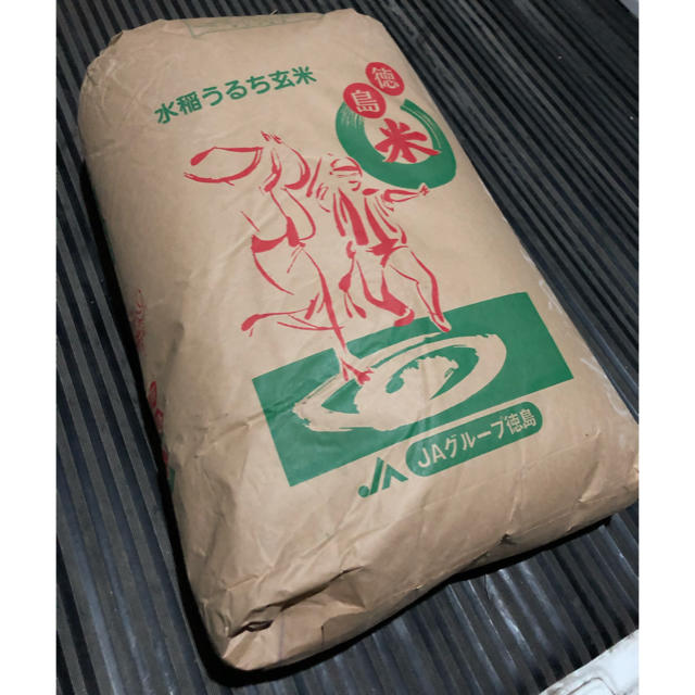 令和2年度 徳島県産 新米キヌヒカリ 20kg 玄米食品