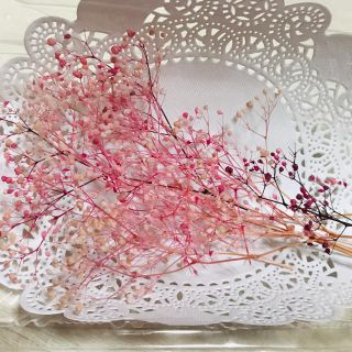 ハーバリウム花材(おすそわけ品)❁⃘*.ﾟピンクグラデーション(ドライフラワー)