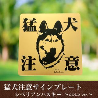 【送料無料】猛犬注意サインプレート(シベリアンハスキー)GOLDアクリルプレート(店舗用品)