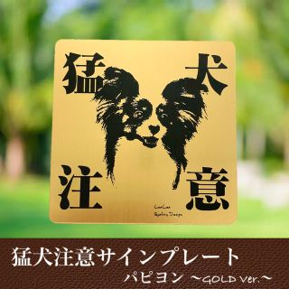 【送料無料】猛犬注意サインプレート(パピヨン)GOLDアクリルプレート(店舗用品)